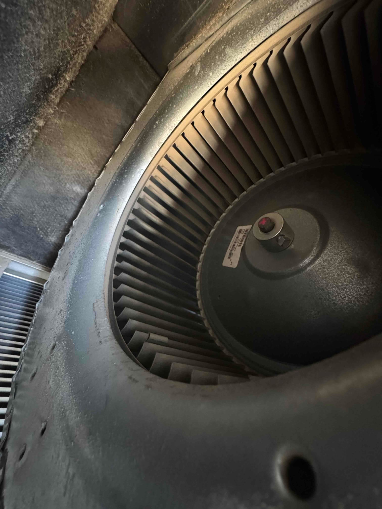 Centrifugal blower wheel inside the air handler housing with dust on blades and shroud.
