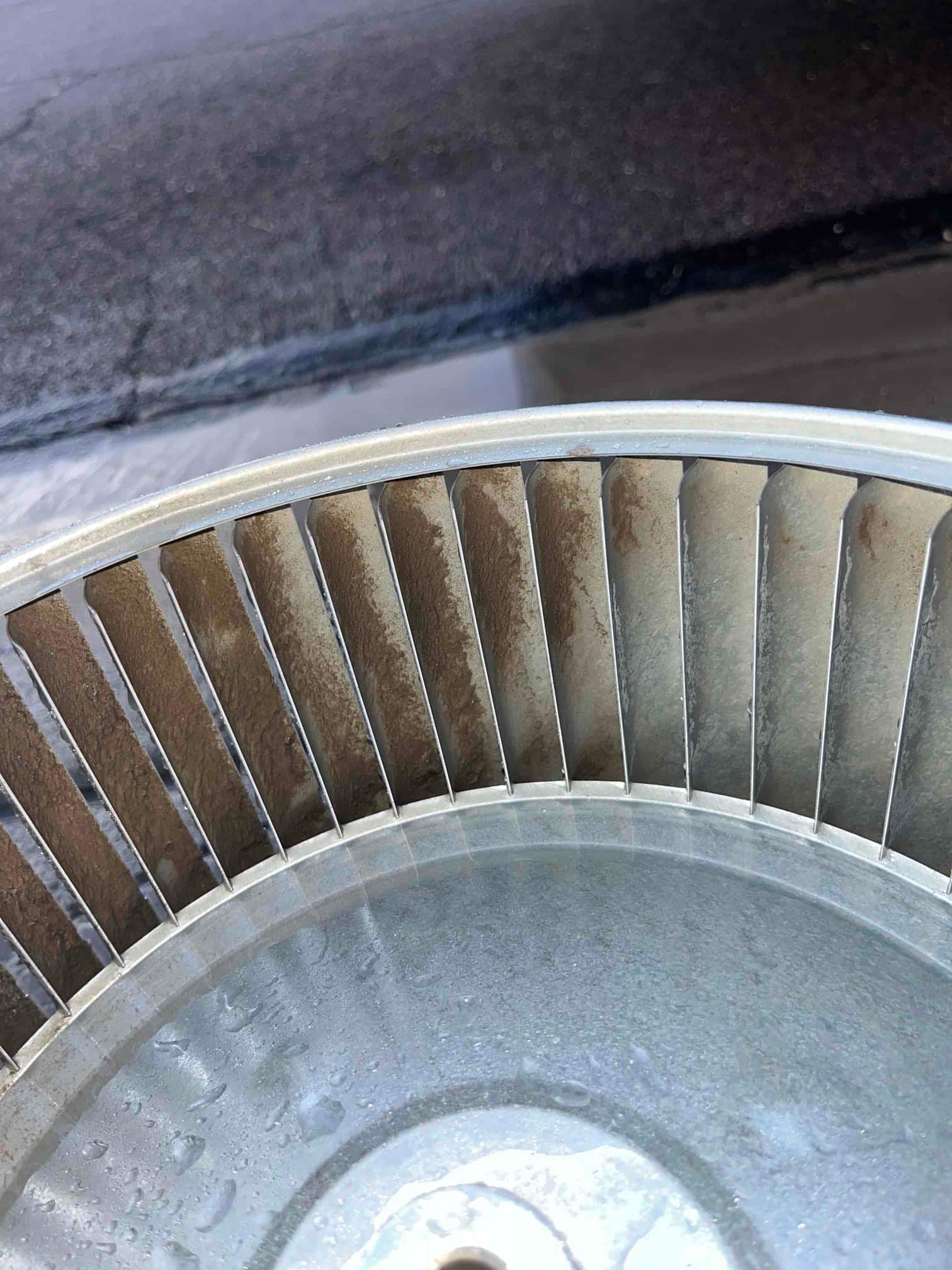 Blower wheel from indoor air handler showing accumulated dust on the fins and water droplets.