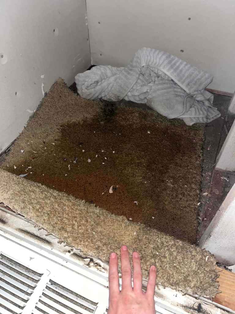 Condensate Drain P-Trap Cleaning and Clearing in Cave Creek — August 2024