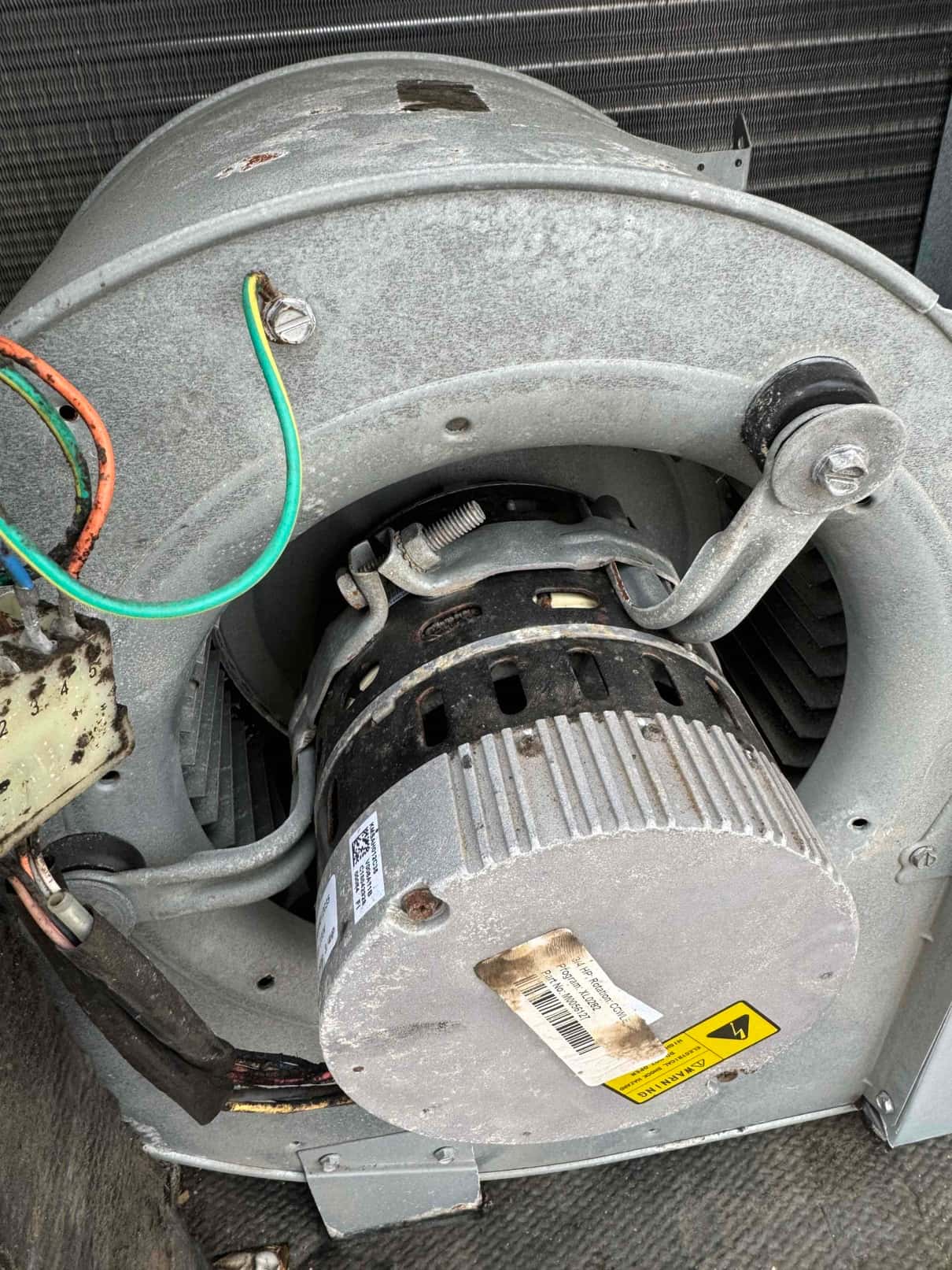 Blower assembly with electric motor, squirrel-cage wheel, and connected wiring inside the air handler cabinet.