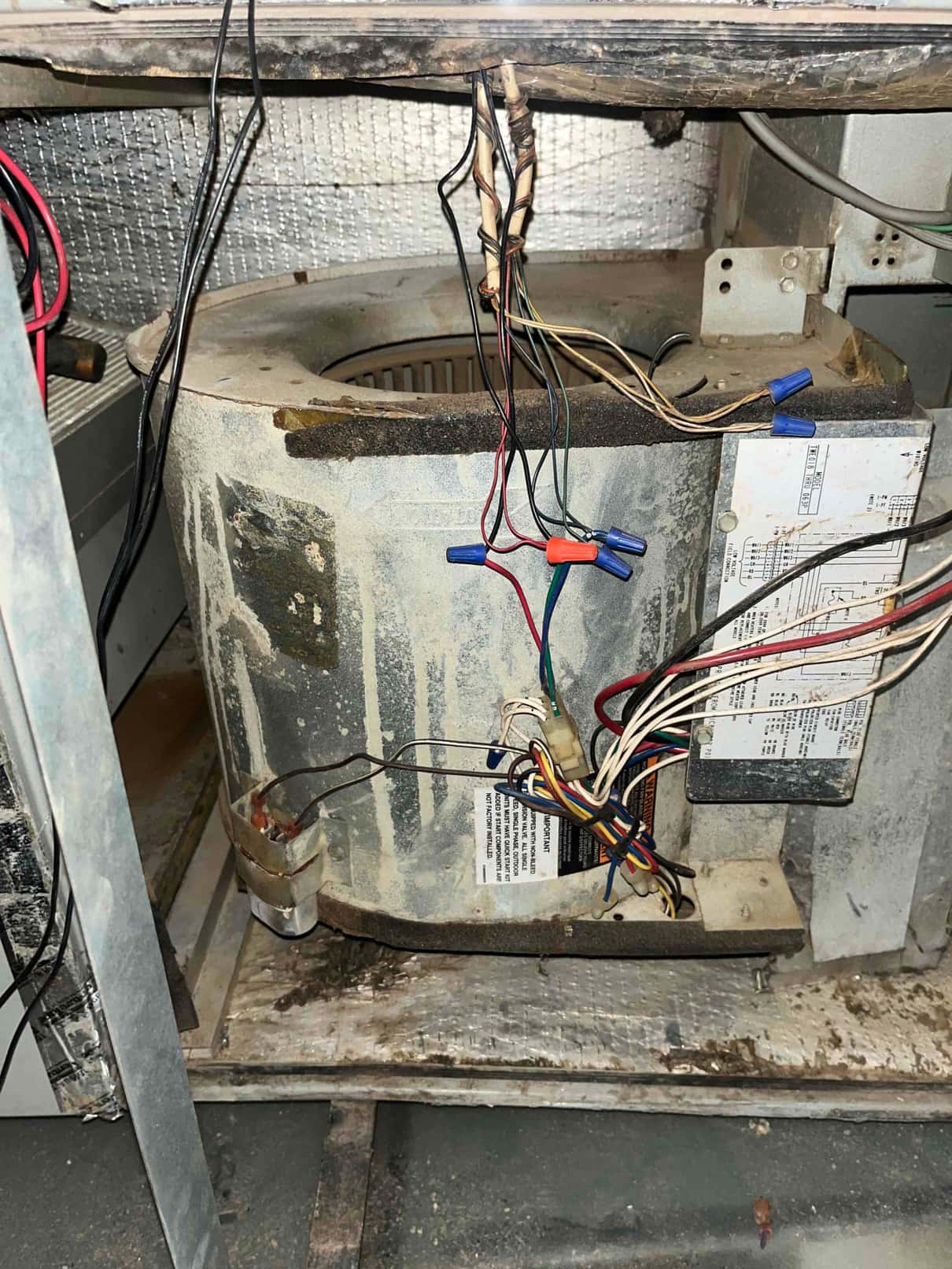 Blower assembly inside air handler with exposed wiring splices, dusty housing, and motor capacitor attached.
