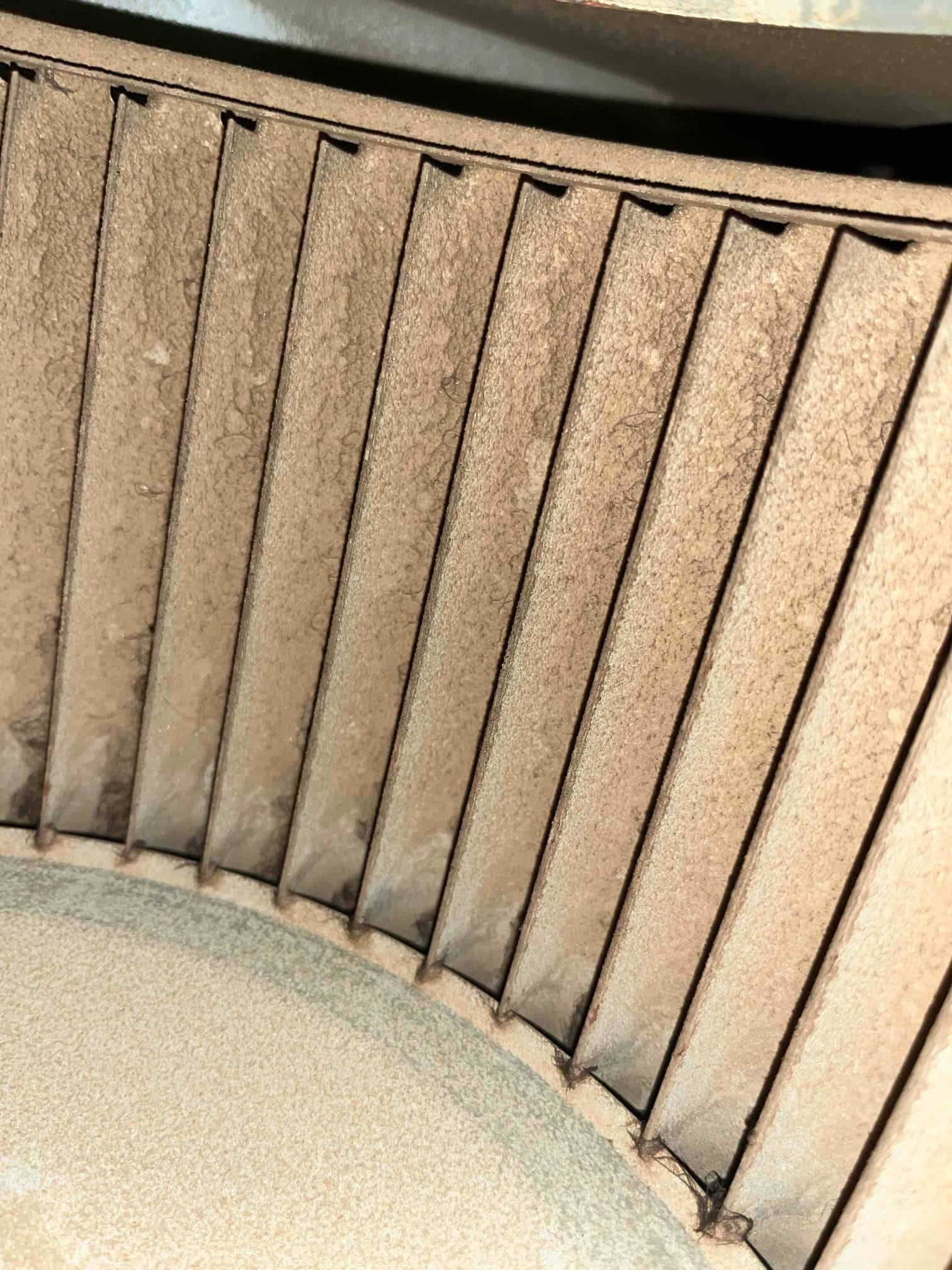 Close-up of a blower wheel showing thick dust accumulation along the fan blades and hub.
