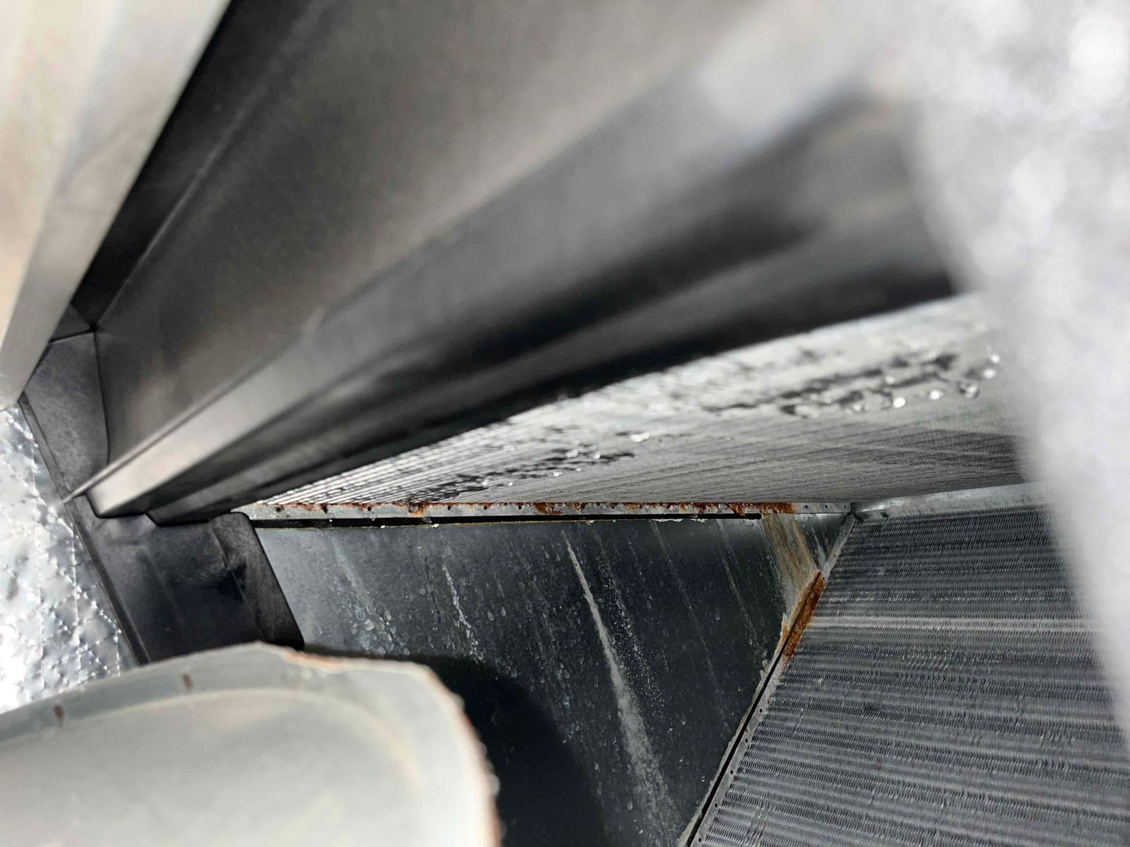 Evaporator A-coil and drain pan interior with water droplets and visible rust along the metal edge.