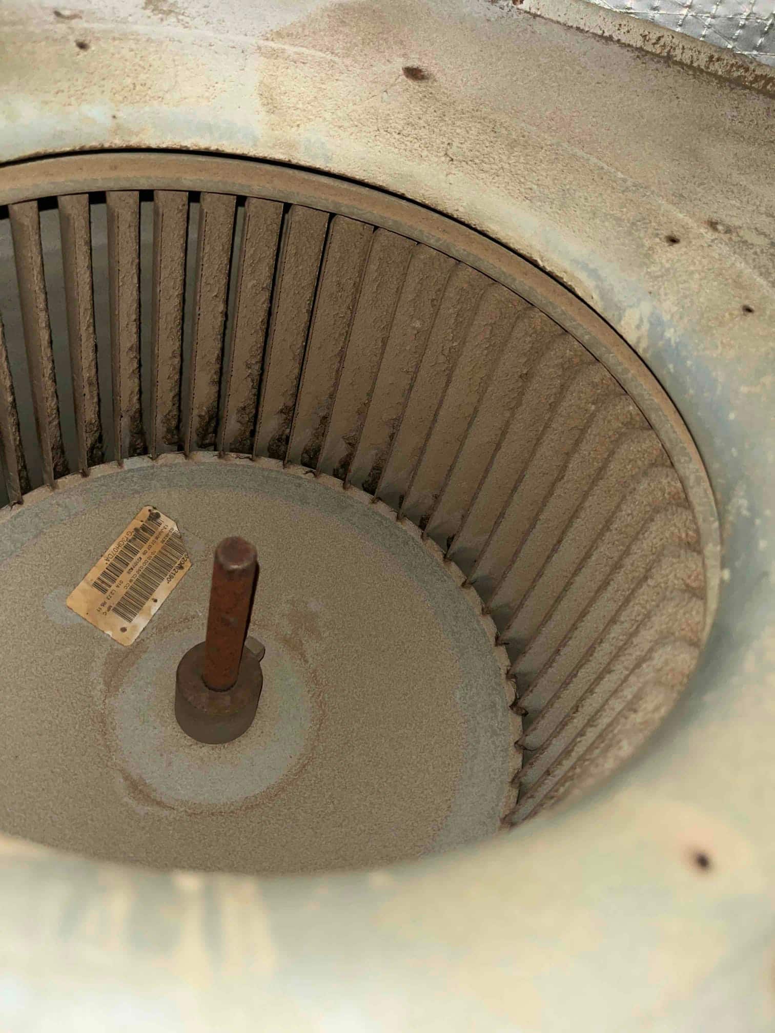 Indoor blower wheel inside the air handler, with dust-covered fins and a rusted motor shaft.