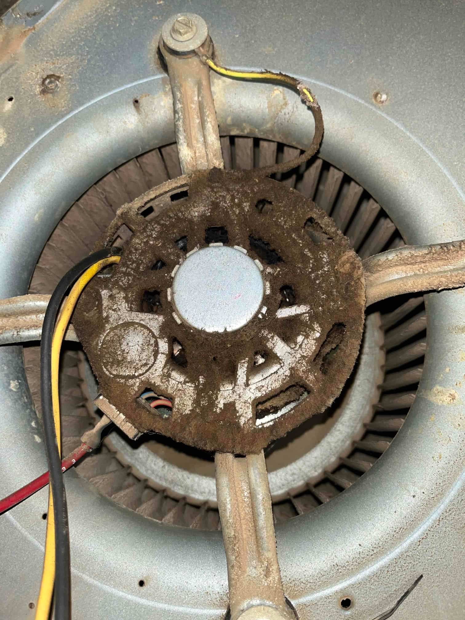 Indoor blower wheel and motor mounting bracket with heavy dust buildup and attached wiring.