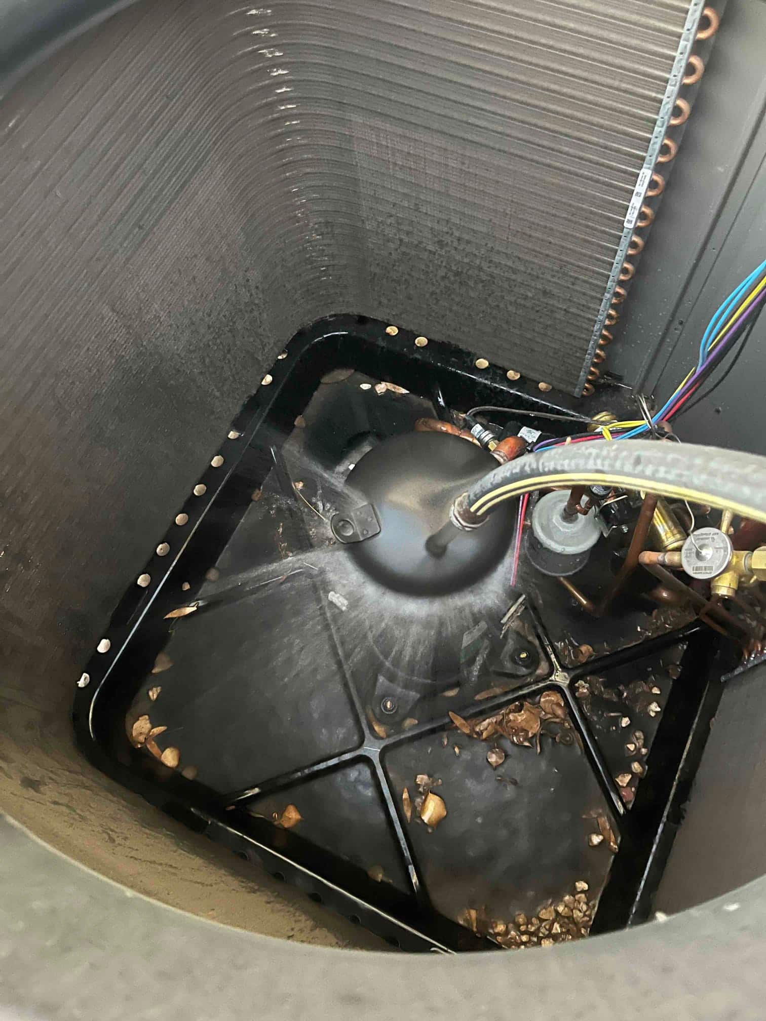 Interior of outdoor condenser cabinet showing surrounding condenser coils, base pan with debris, copper refrigerant lines, and wiring near service components.