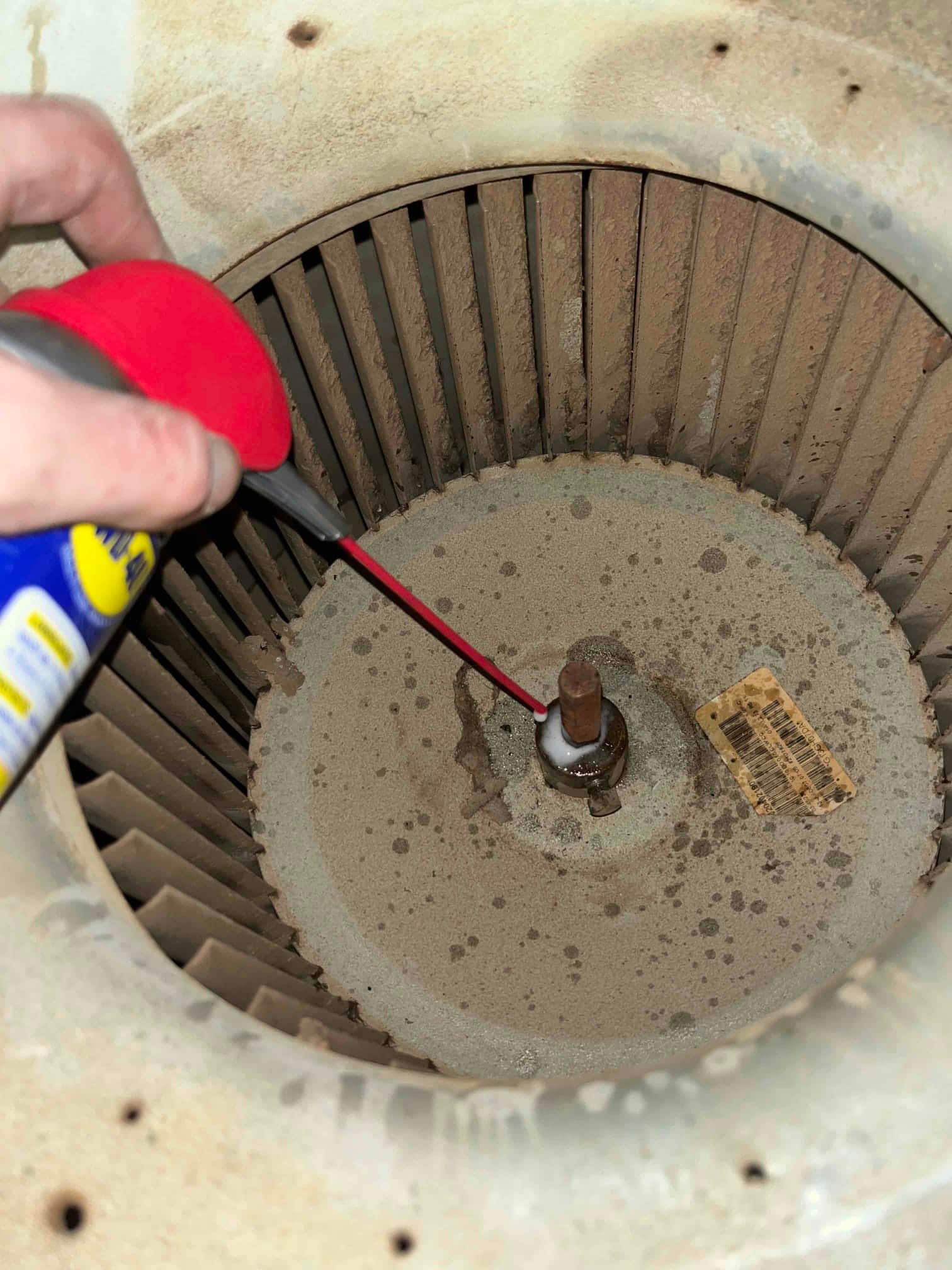 Lubricant being applied to the blower wheel hub and shaft; dust and residue visible inside the housing.