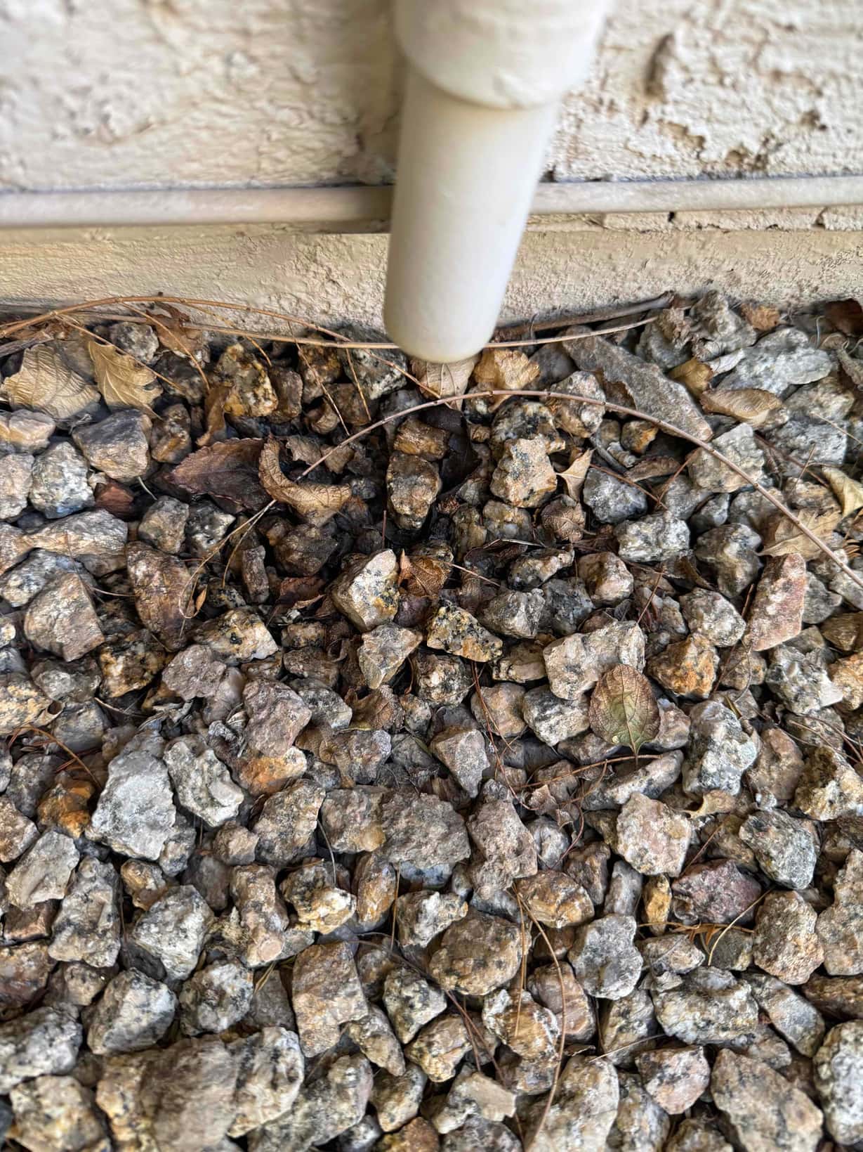 PVC drain line terminates at an exterior wall above gravel, with dried leaves and debris on the ground.