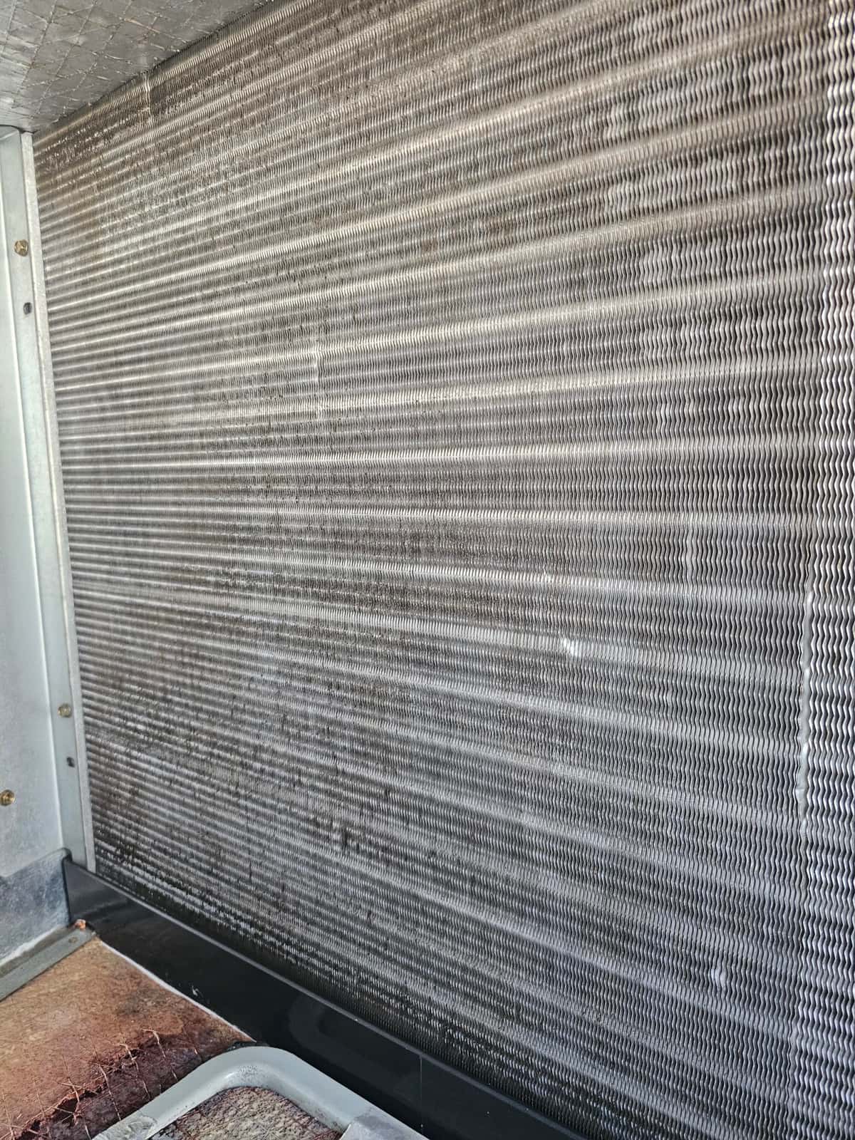 Evaporator coil fins inside the air handler with visible surface discoloration and drain pan below.