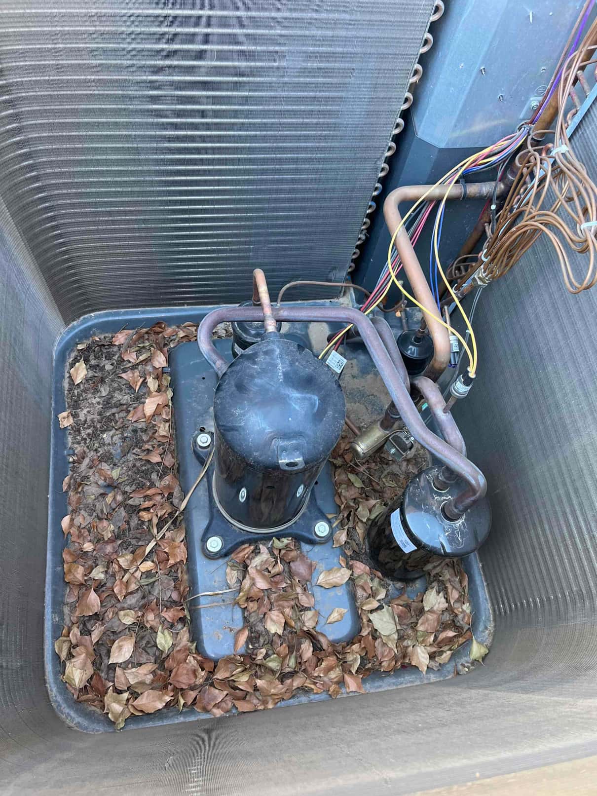 Outdoor condenser interior showing compressor, copper refrigerant lines, and a vertical canister, with dry leaves collected in the base.
