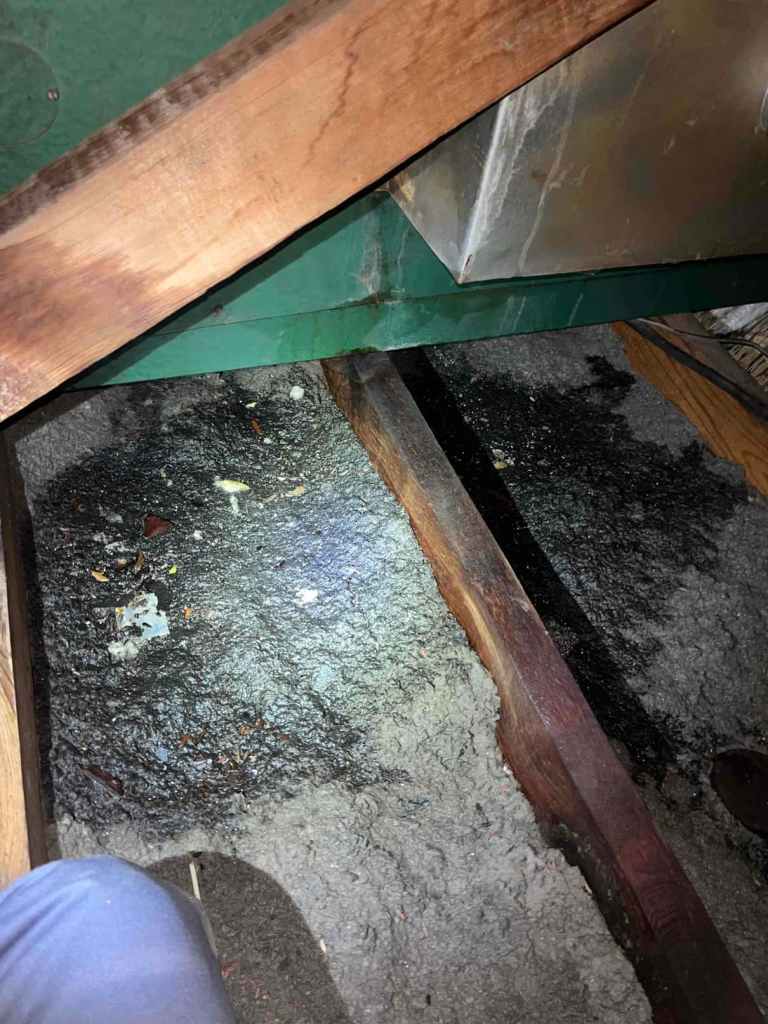 Evaporative Cooler Water Line Repair in Phoenix — November 2025