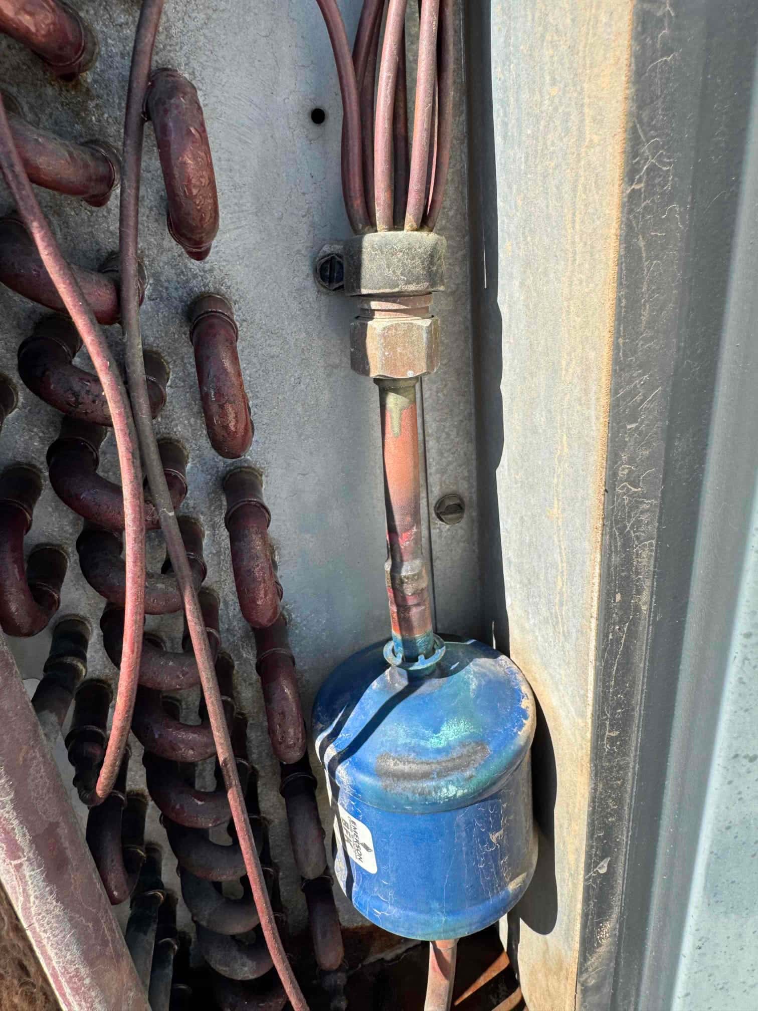 Blue refrigerant line canister with oxidation on copper tubing next to the outdoor coil inside the unit.