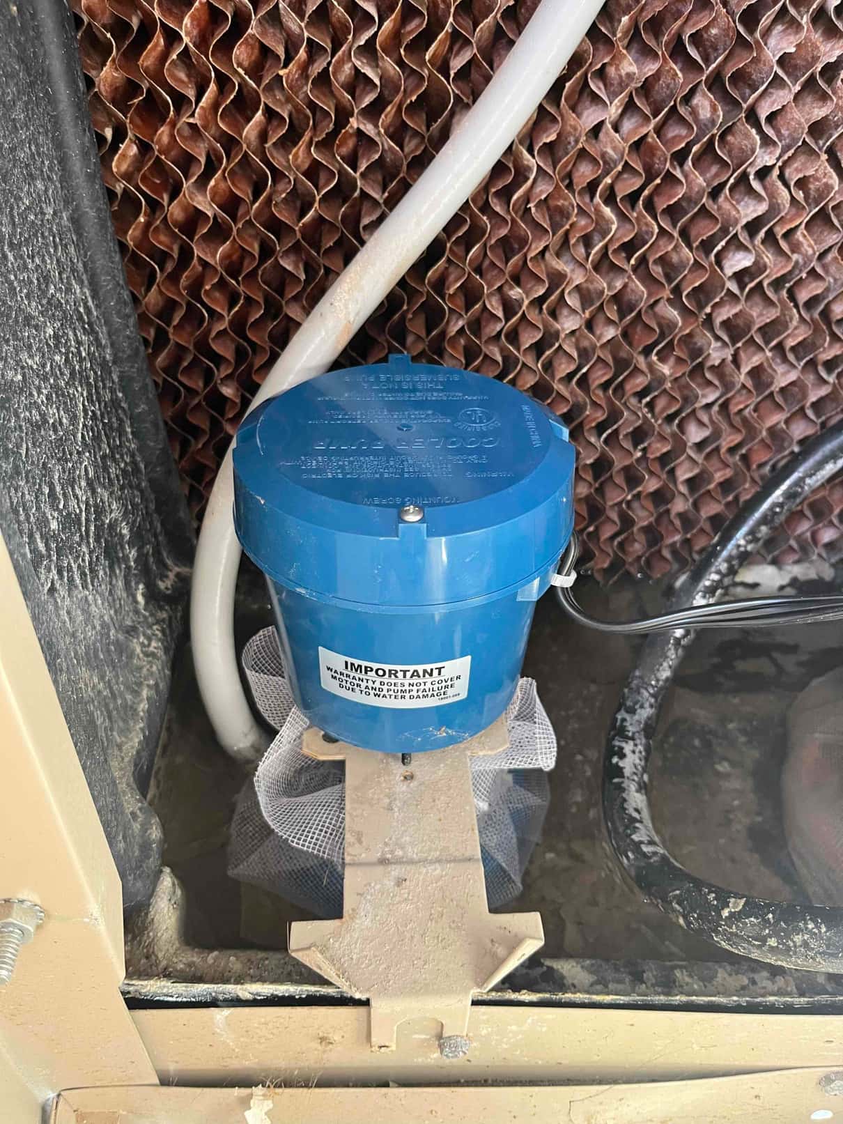 Blue water pump with mesh intake filter mounted in an evaporative cooler pan, positioned beneath the cooling media.