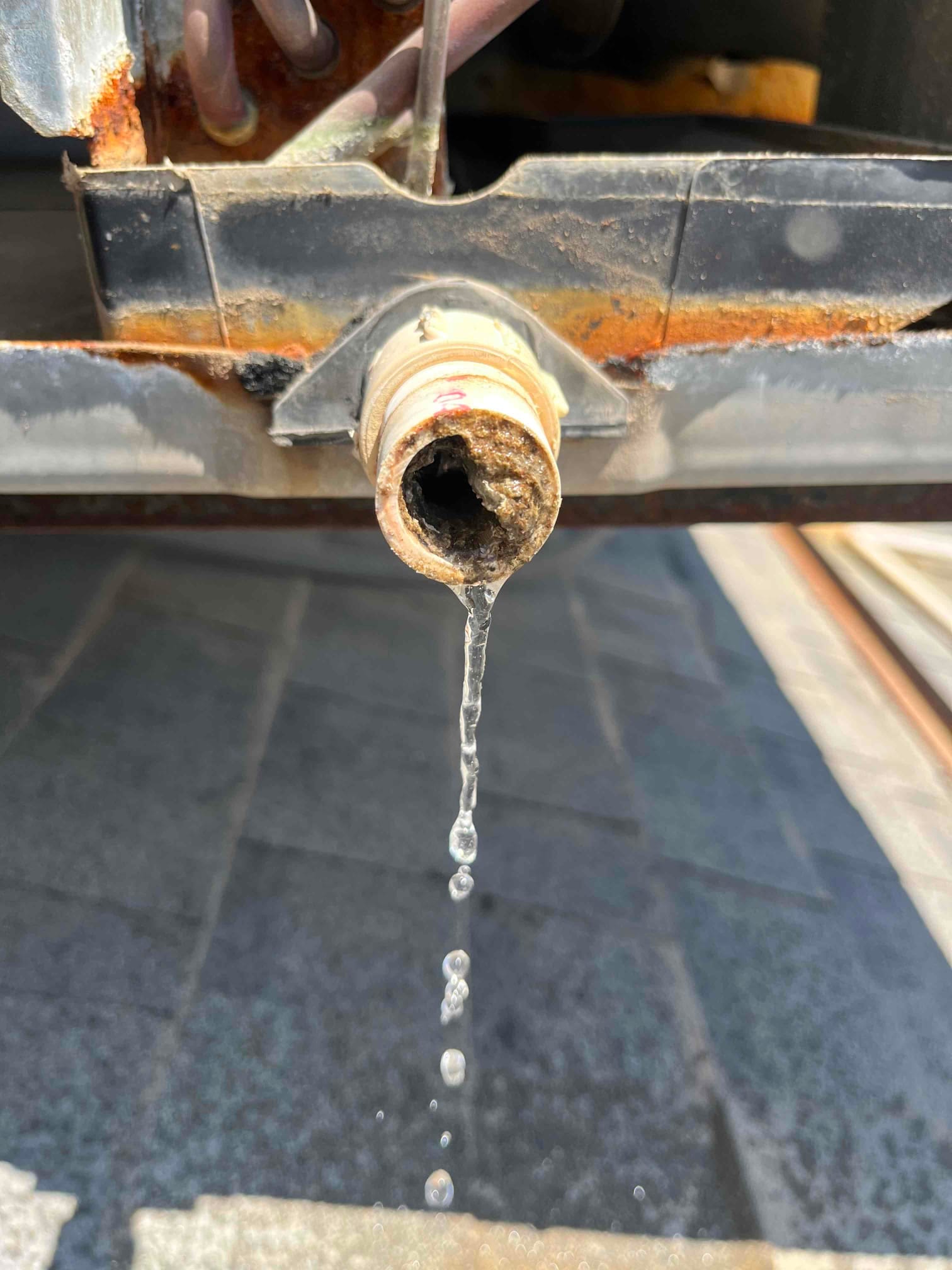 Condensate drain outlet showing internal buildup and active drip beneath a rust-stained metal drain pan.