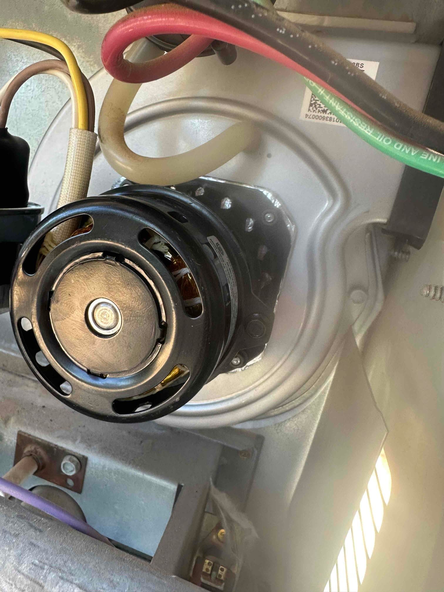 Draft inducer motor and housing inside the furnace cabinet, with connected wiring and pressure tubing visible around the assembly.