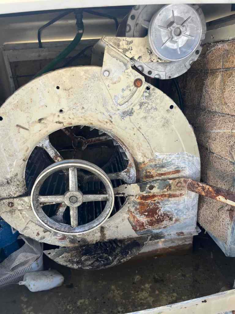 Evaporative Cooler Blower Bearing Replacement in Phoenix — September 2025