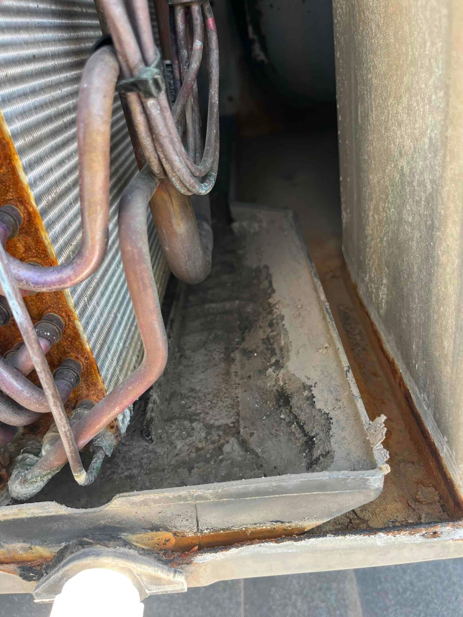 Evaporator coil tubing and fins adjacent to a corroded, dirty condensate drain pan inside the air handler.