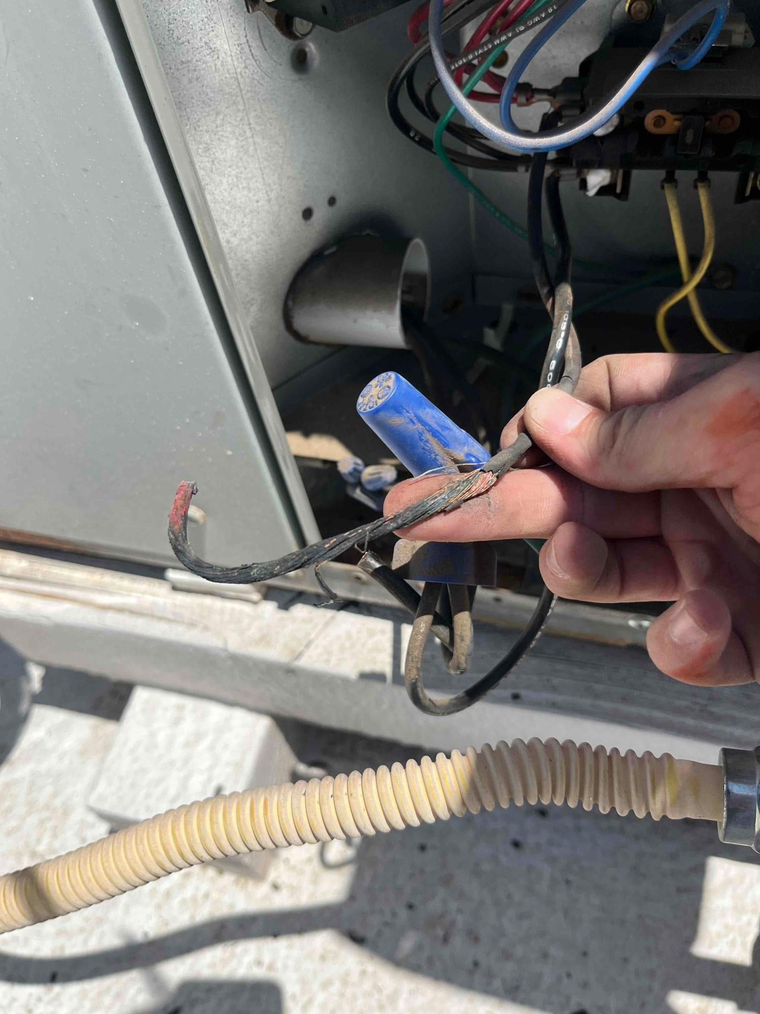 Hand holds damaged wires with exposed copper strands and frayed insulation inside the HVAC unit cabinet.