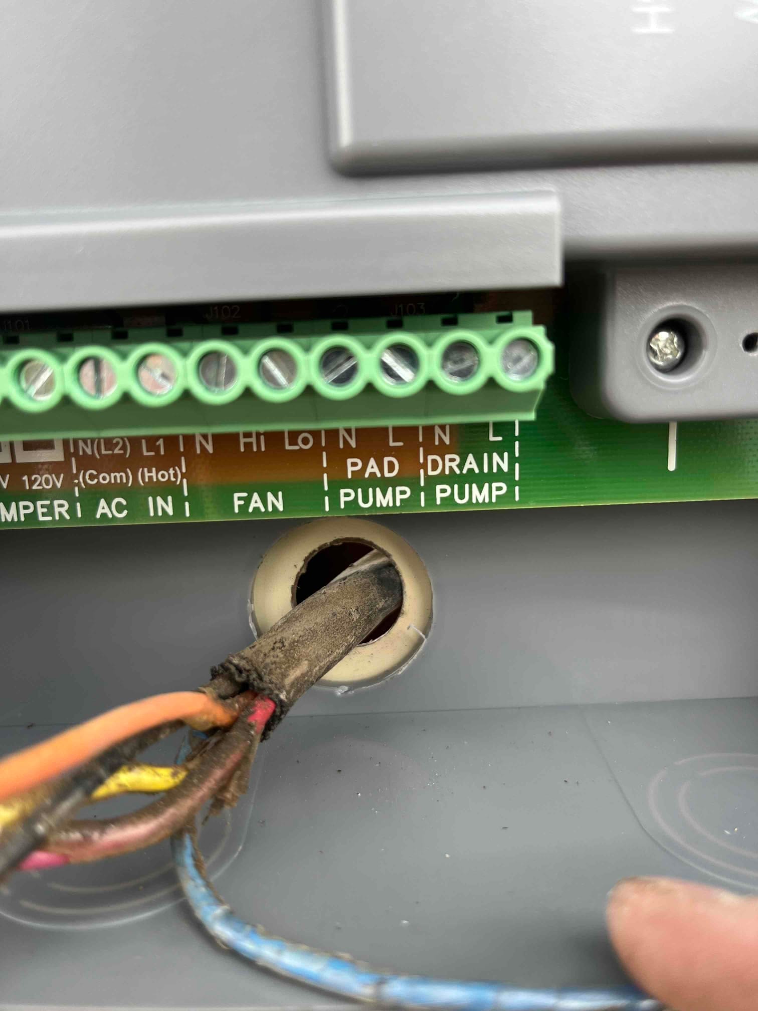 HVAC control board terminal strip labeled FAN, PUMP, and DRAIN, with incoming multi-conductor cable routed through grommet.