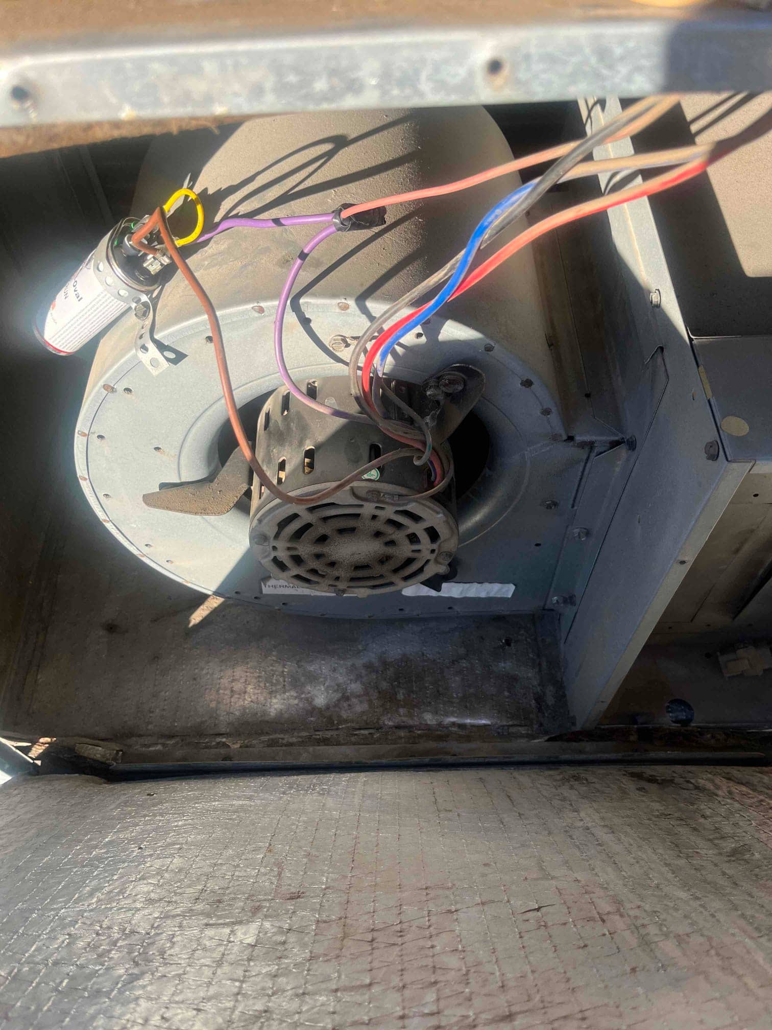 Indoor blower assembly with motor and connected wiring, showing mounted run capacitor inside the air handler cabinet.