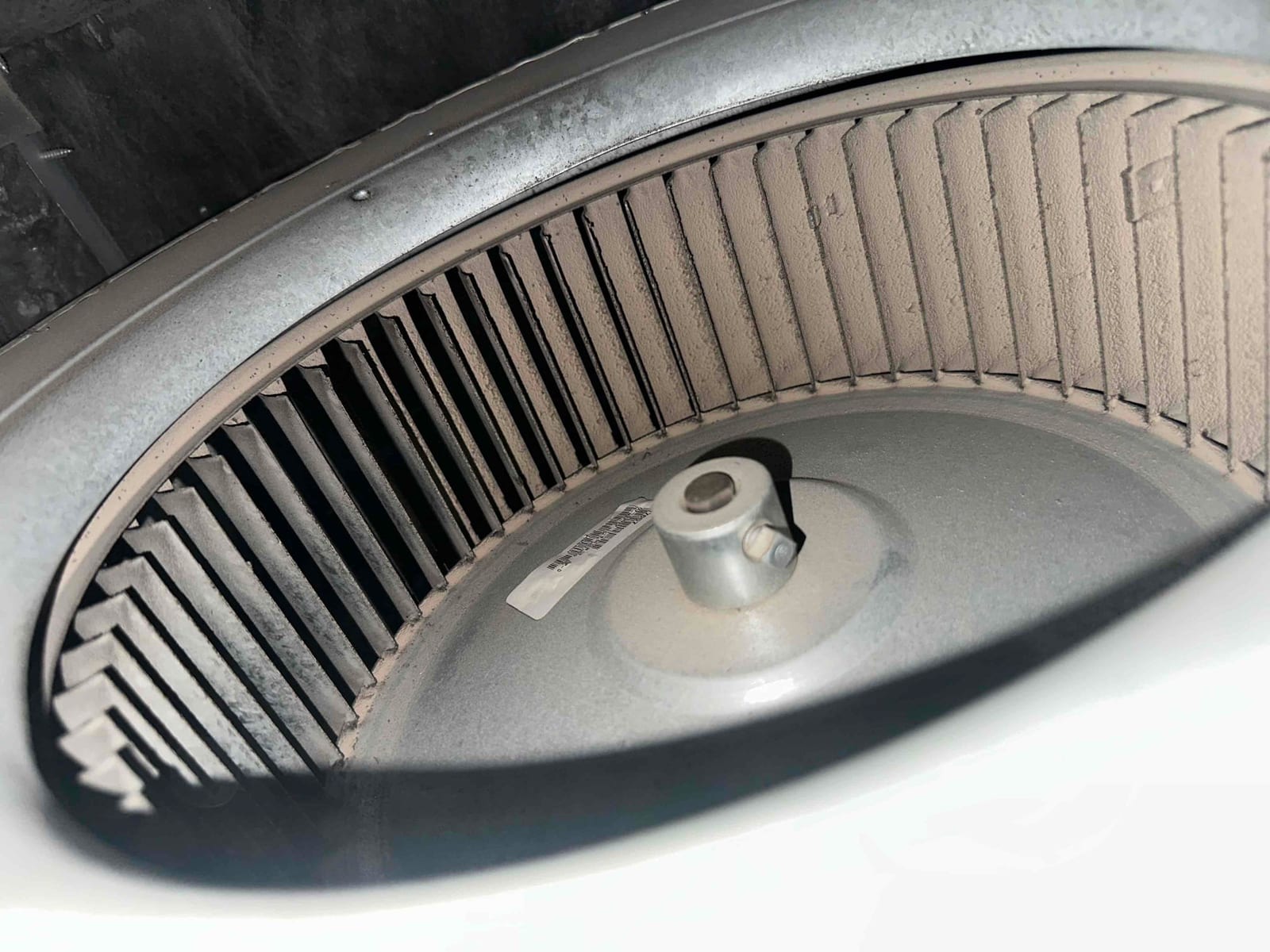 Indoor blower wheel with accumulated dust on the blades and hub inside the housing.