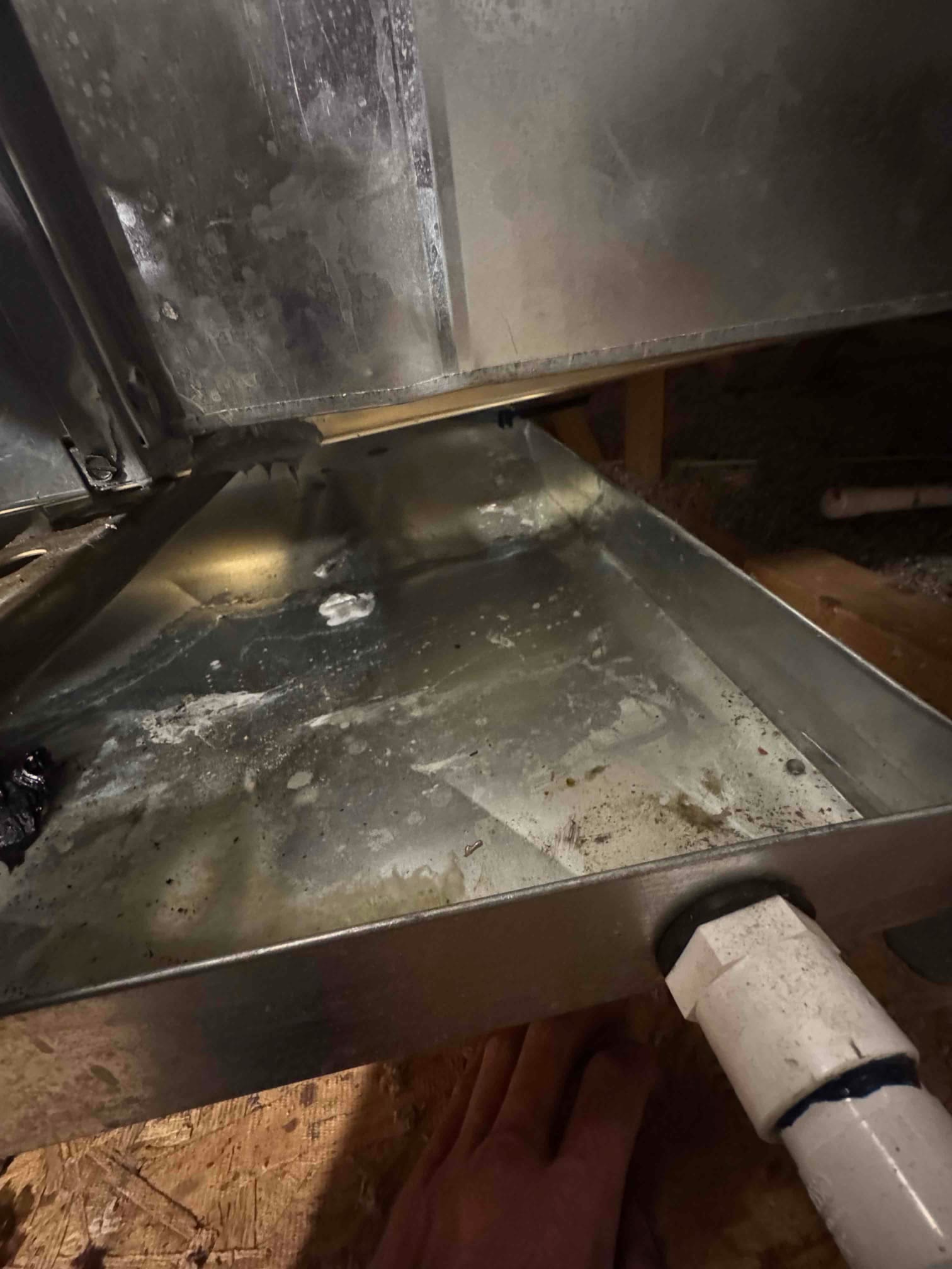 Metal condensate drain pan beneath an air handler shows standing water and debris near the PVC drain connection.