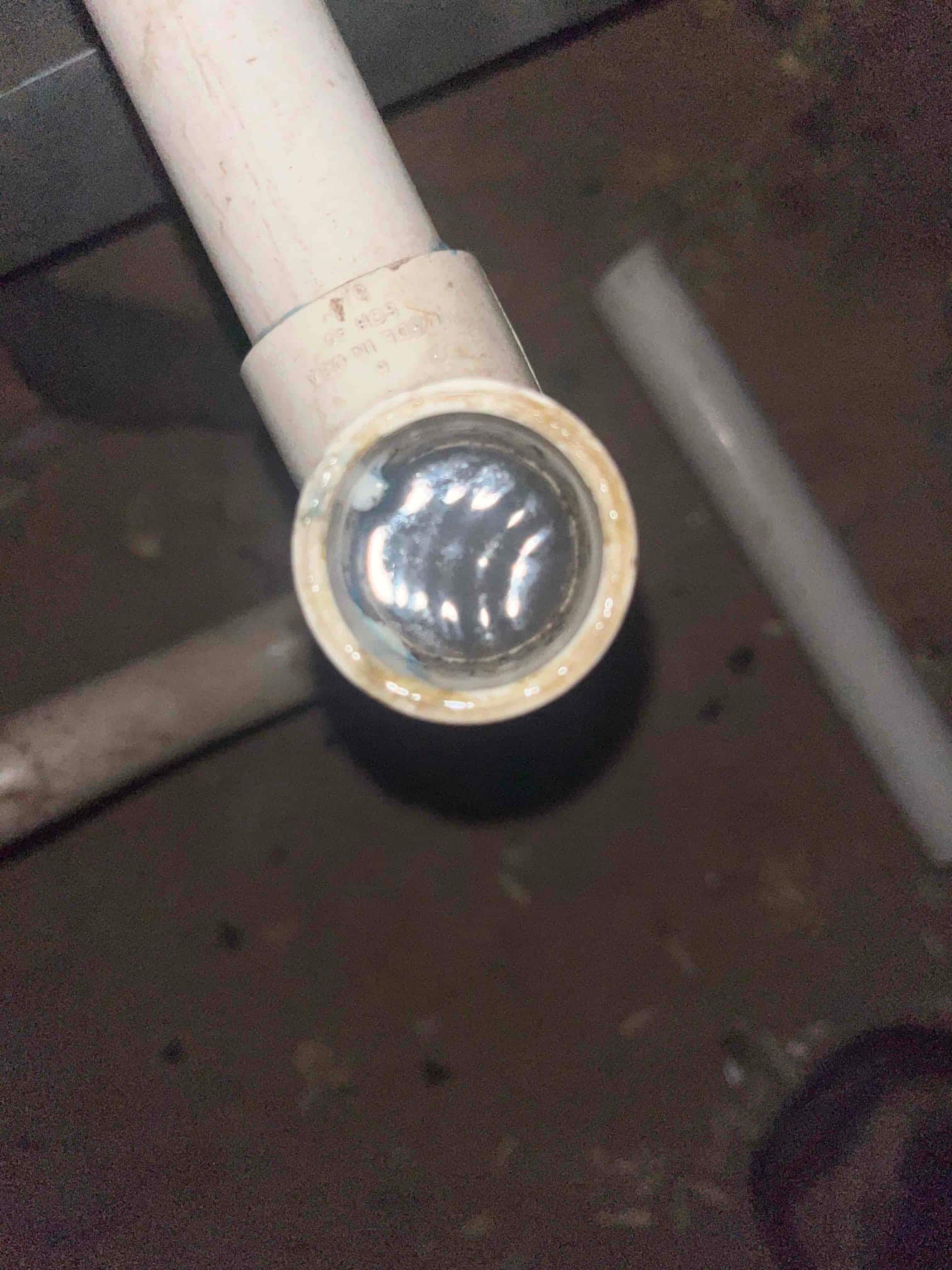Open PVC drain cleanout shows water at the pipe opening.