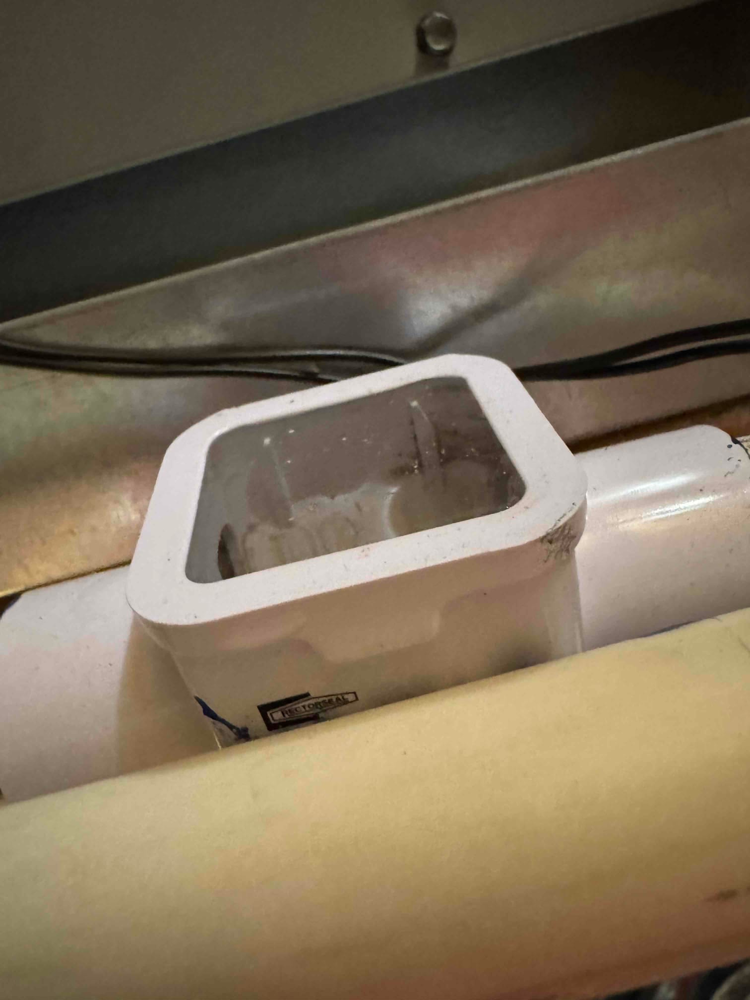 PVC condensate drain with a transparent cleanout cover showing standing water inside the trap.