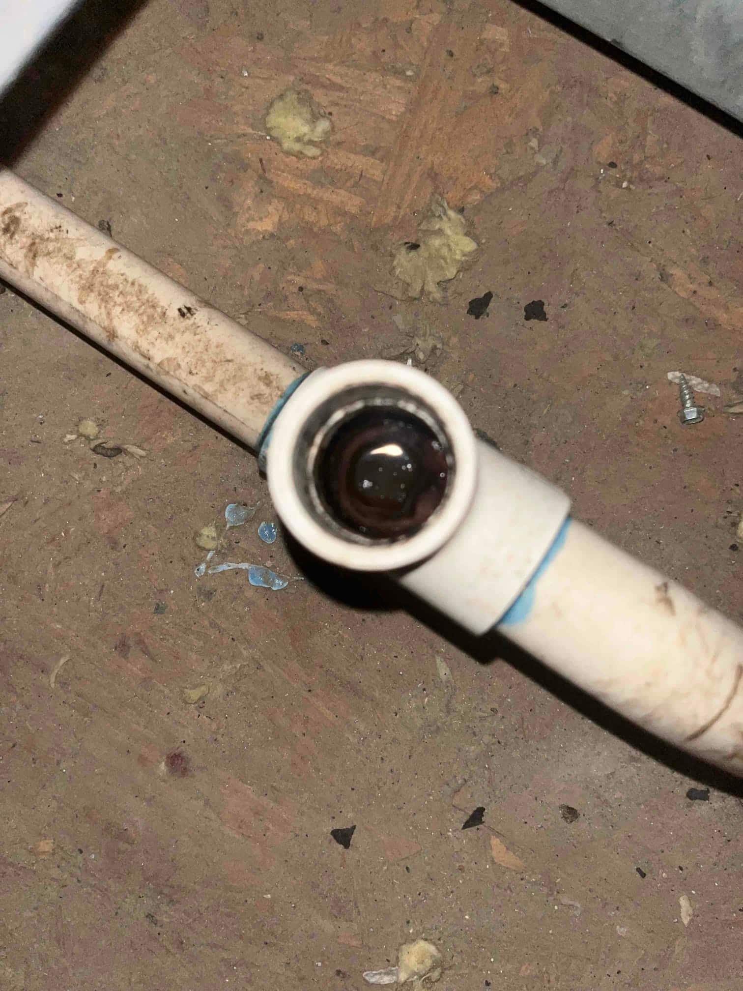PVC drain tee with open cleanout port showing dark standing liquid inside the fitting.