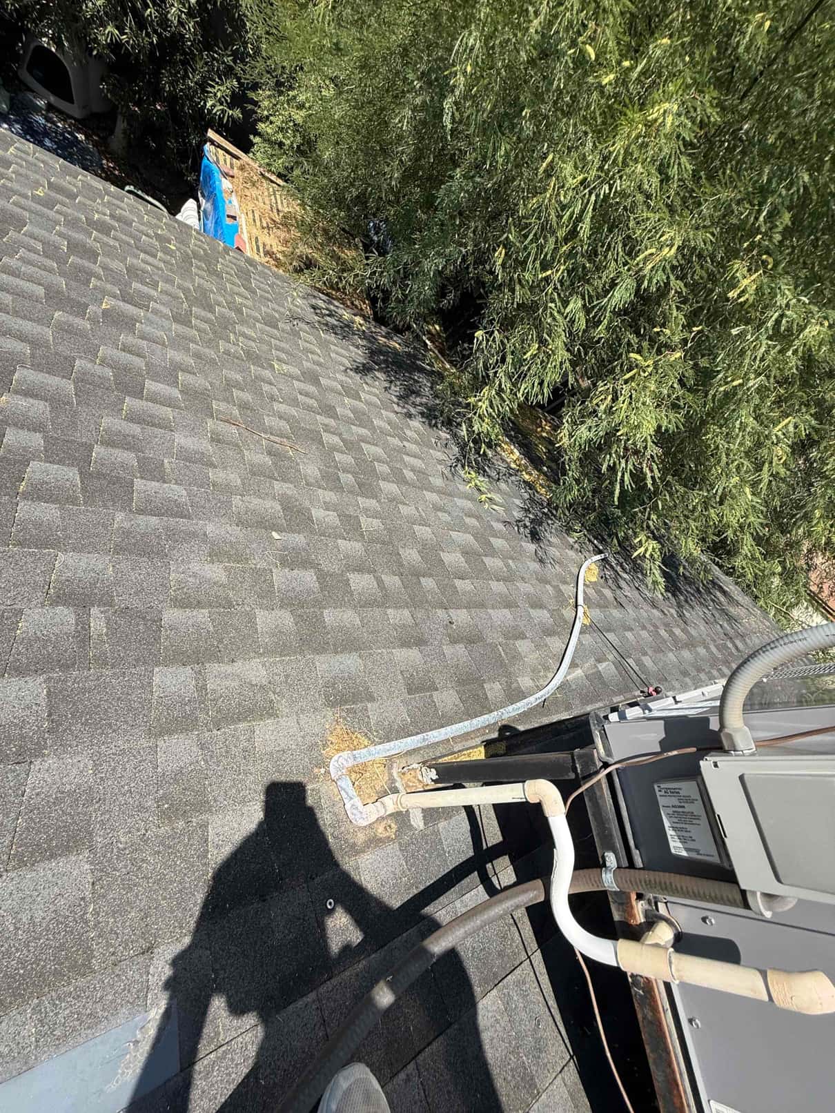 Rooftop package unit with insulated refrigerant and condensate lines routed across shingle roof near curb.