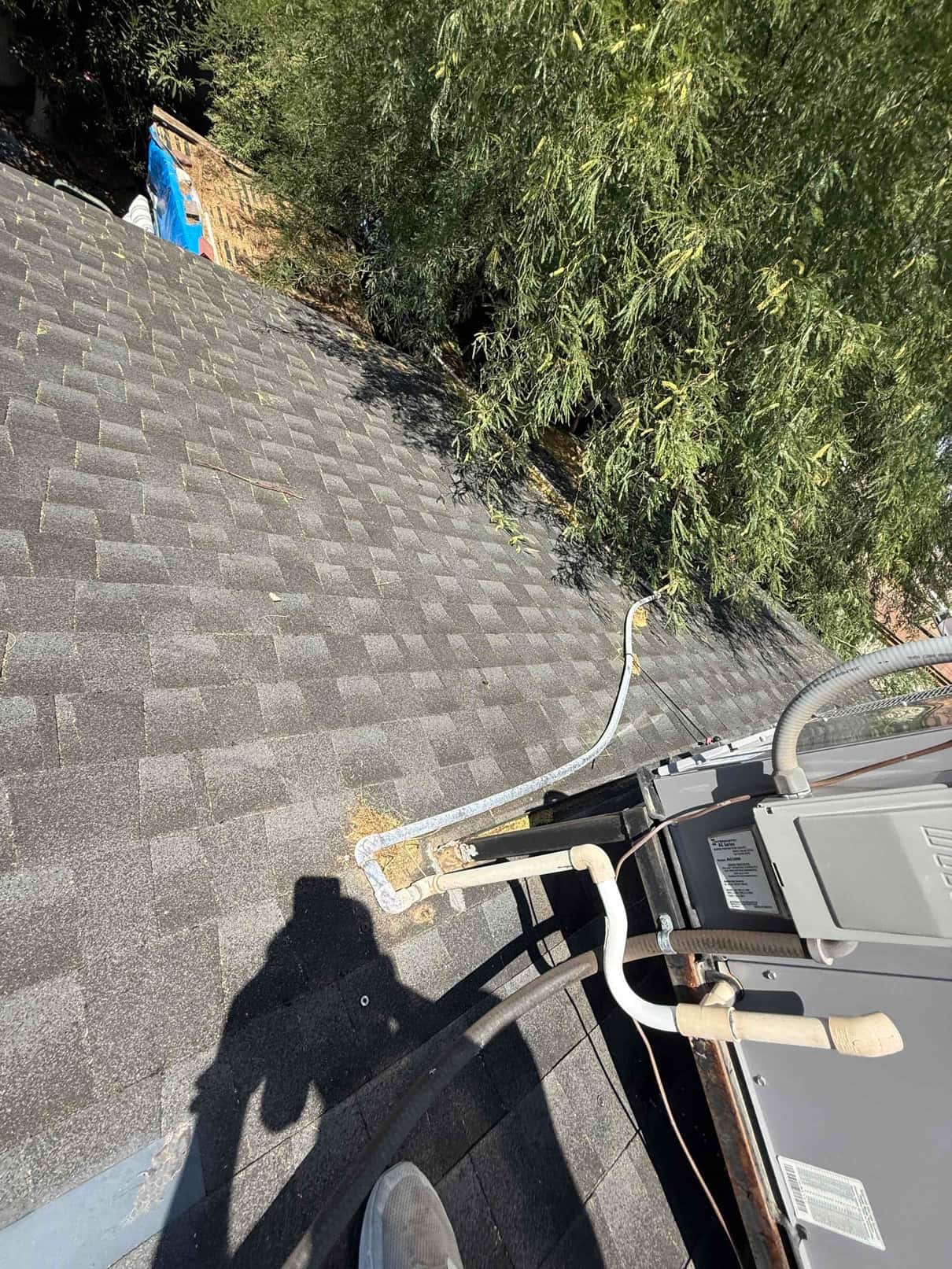 Rooftop package unit with insulated refrigerant lines, condensate drain piping, and electrical whip on shingle roof.