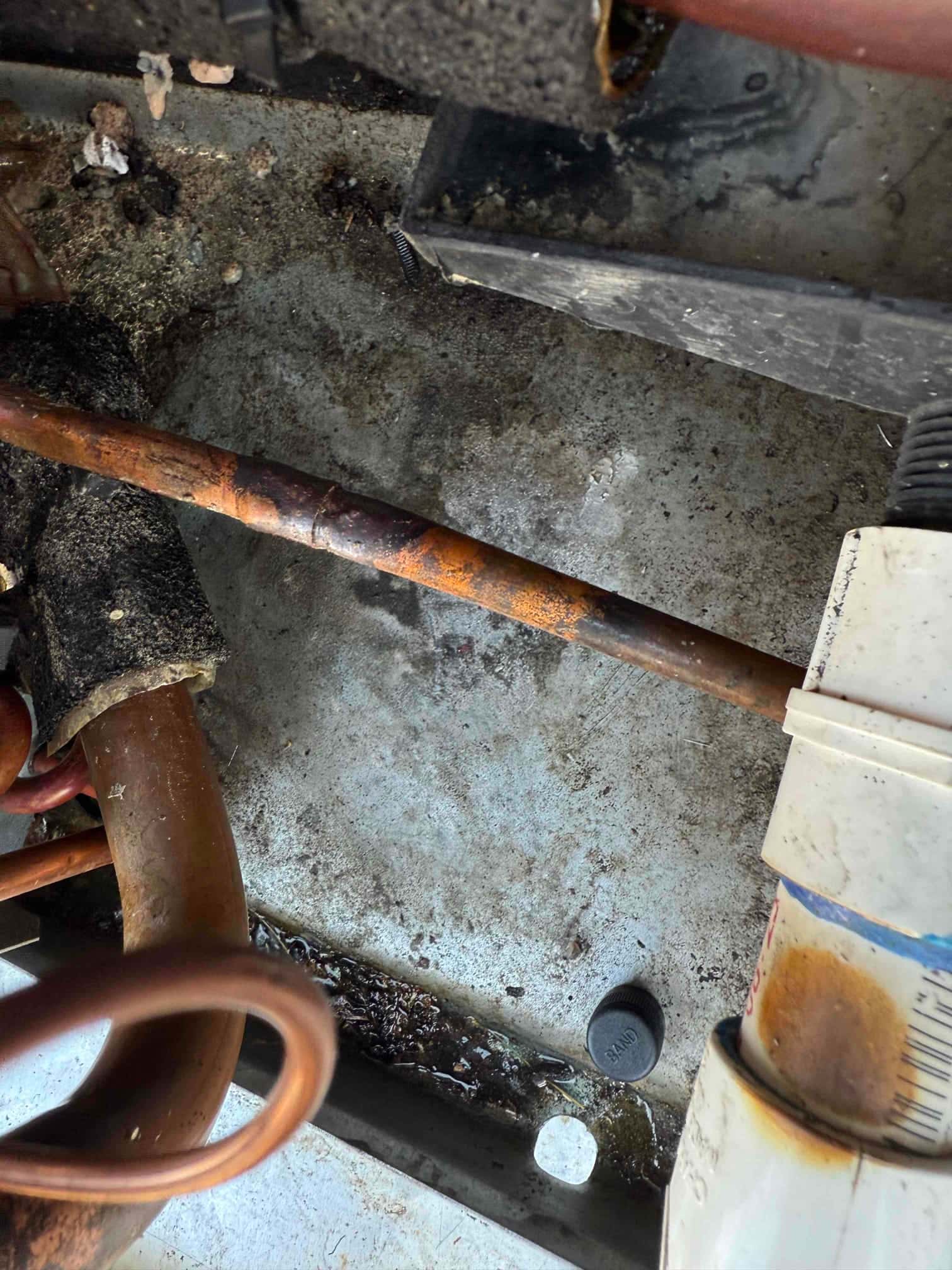 Rusted copper refrigerant line and insulated tubing beside PVC condensate drain with rust stain, debris, and standing water in a metal pan.