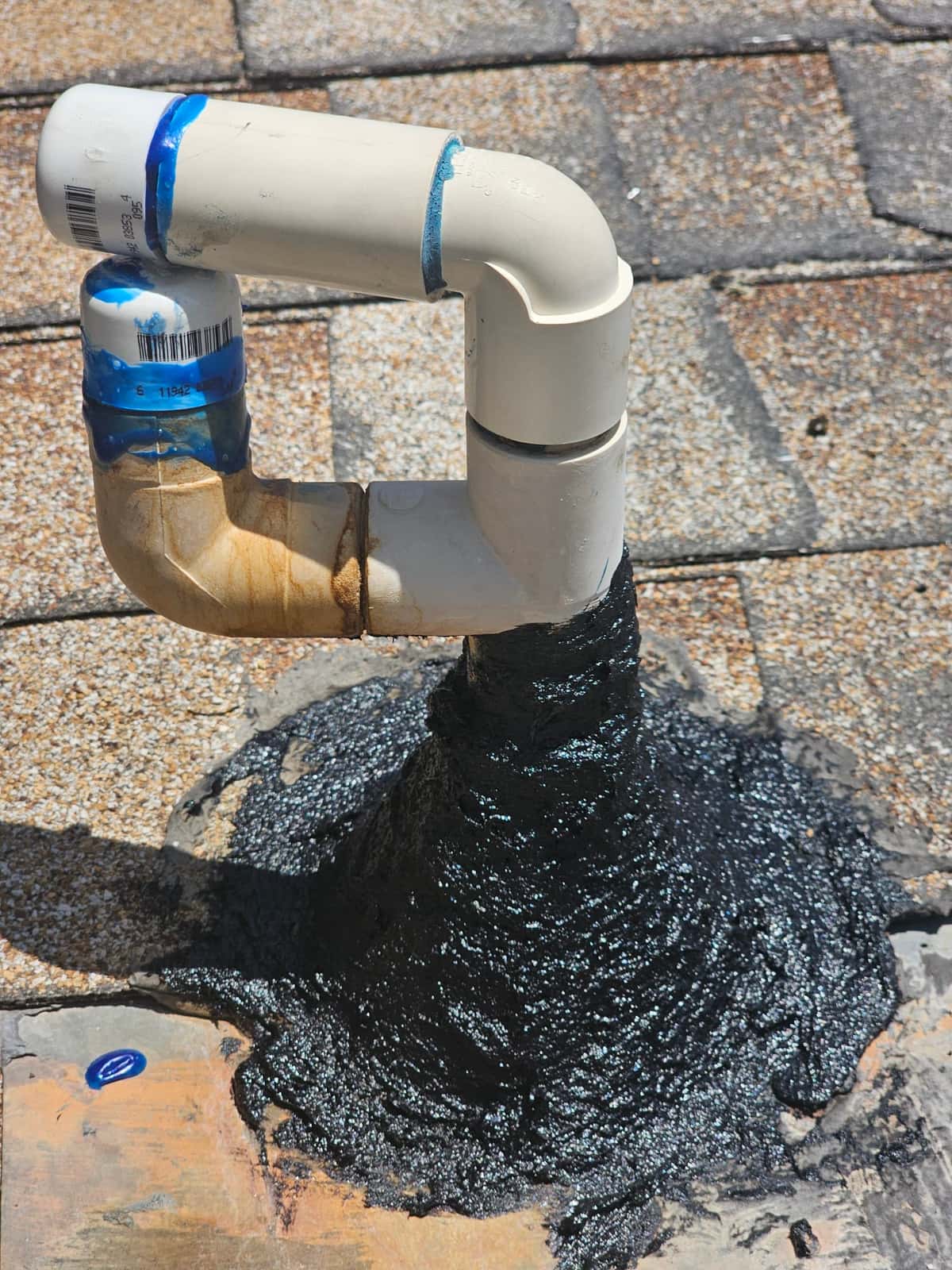 PVC drain line termination on the roof, with blue primer joints and black roofing mastic at the base.